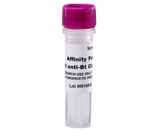 Antibody, Anti-Cry 2A, polyclonal (rabbit), 0.5 mg