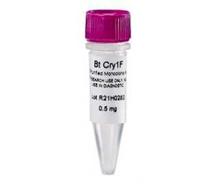 Antibody, Anti-Cry 1F, monoclonal, 0.5 mg