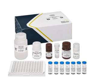 Alachlor, ELISA, 96 tests