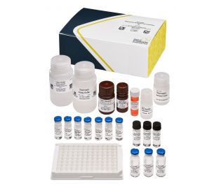 Glyphosate ELISA Plate and Derivatization Kit, 96-test