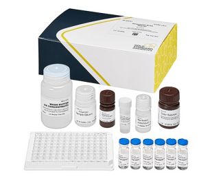 Azoxystrobin, ELISA, 96 tests