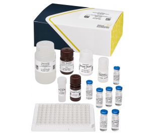Imidacloprid/Clothianidin, ELISA, 96 tests