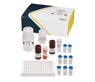 Microcystins/Nodularins (ADDA) OH (EPA ETV) (EPA Method 546), ELISA, 96 tests