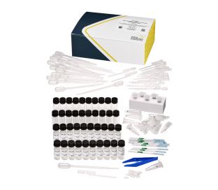 Microcystins, 0-10(20) ppb, Recreational Water with QuikLyse Feature, Dipstick, Recreational Water, (EPA ETV), 20 tests