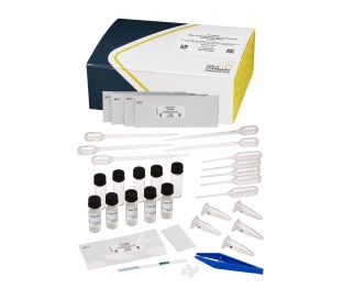 Microcystins, 0-10(20) ppb, Recreational Water with QuikLyse Feature, Dipstick, Recreational Water (EPA ETV), 5 tests