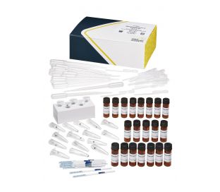 Anatoxin-a (VFDF), 0-2.5 ppb, Dipstick, Source Drinking Water, 20 tests