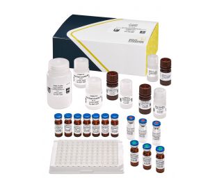 Anatoxin-a (VFDF), ELISA, 96 tests