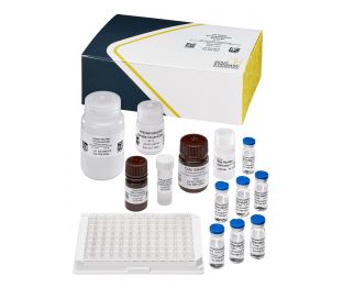 Anabaenopeptins, ELISA 96 tests