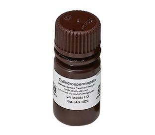 Cylindrospermopsin, Seawater Sample Treatment Solution 45 tests