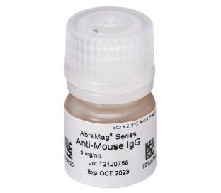 AbraMag anti-Mouse Magnetic Beads, 1 mL sample size, 5 mg/mL