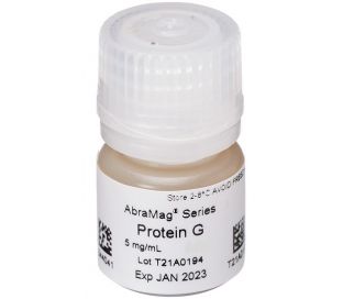 AbraMag Protein G Magnetic Beads, 1 mL sample size, 5 mg/mL