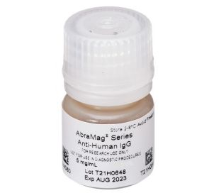AbraMag anti-Human Magnetic Beads, 1 mL sample size, 5 mg/mL