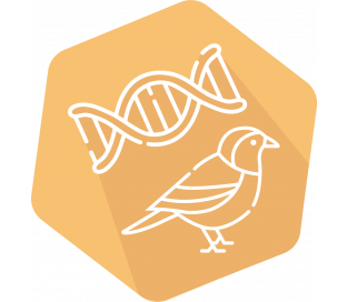 DNAnimal Screen Bird IPC Kit (LR/HR)