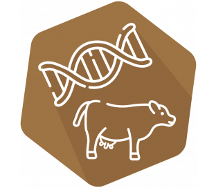 DNAnimal Ident Beef IPC (LR/HR)