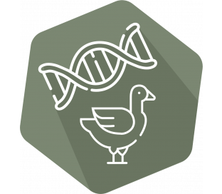 DNAnimal Ident Duck IPC (LR/HR)
