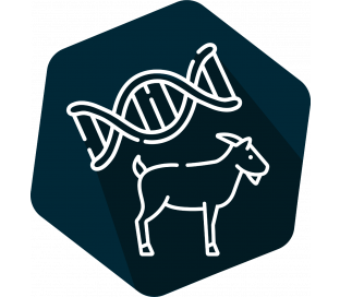 DNAnimal Ident Goat  IPC (LR/HR)