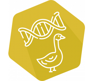 DNAnimal Ident Goose IPC