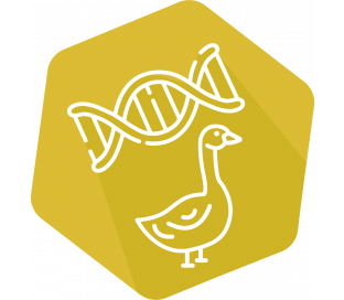 DNAnimal Ident Goose IPC Kit (LR/HR)