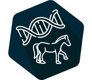 DNAnimal Ident Horse IPC (LR)