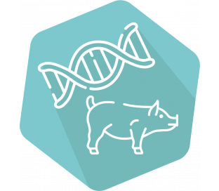 DNAnimal Ident Pork IPC