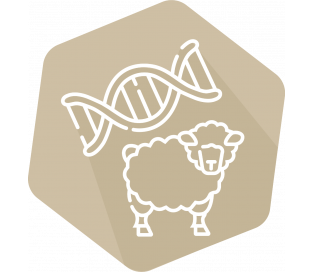 DNAnimal Ident Sheep  IPC (LR/HR)