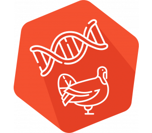 DNAnimal Ident Turkey IPC (LR/HR)