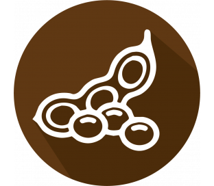 Genomic DNA Roundup Ready„¢ Soy
