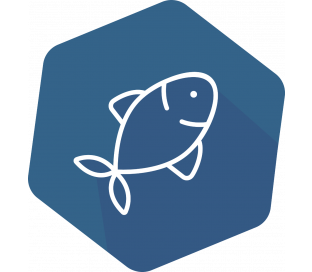 SENSISpec Spike Solution Fish (Cod)