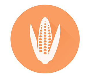 Cry3Bb LFS kit for Corn bulk grain ( 0.2 %)