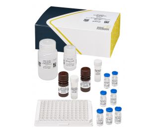 Domoic Acid (Onsite Technologies), ELISA 96 tests