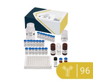 Patulin ELISA 96-test kit