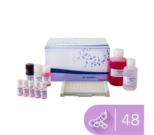 SENSISpec ELISA Soy 48 wells