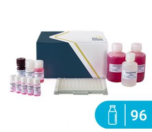 SENSISpec ELISA Beta-Lactoglobulin 96 Wells