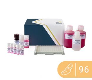 SENSISpec ELISA Brazil nut 96 Wells