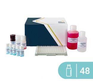 SENSISpec ELISA Casein 48 Wells