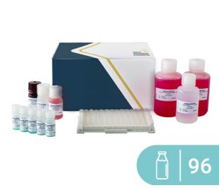 SENSISpec ELISA Casein 96 Wells