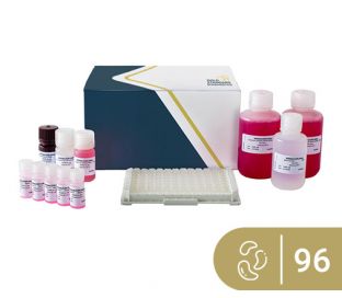 SENSISpec ELISA Cashew 96 Wells