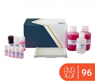 SENSISpec ELISA Crustaceans (Tropomyosin) 96 Wells