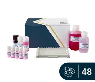 SENSISpec ELISA Egg white 48 Wells