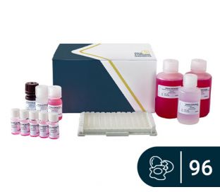 SENSISpec ELISA Egg white 96 Wells