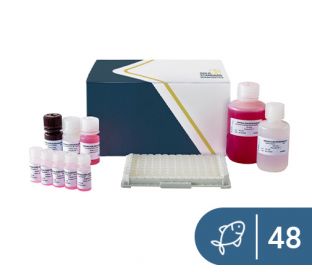 SENSISpec ELISA Fish (Parvalbumin) 48 Wells