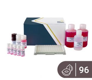 SENSISpec ELISA Hazelnut 96 Wells