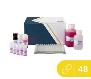 SENSISpec ELISA Lupin 48 Wells