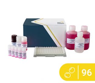 SENSISpec ELISA Lupin 96 Wells