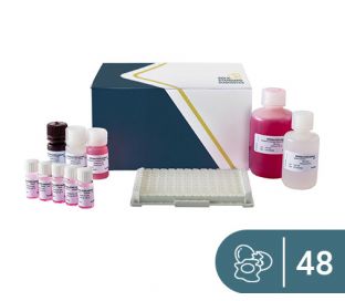 SENSISpec ELISA Lysozyme 48 Wells