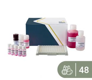 SENSISpec ELISA Macadamia nut 48 Wells