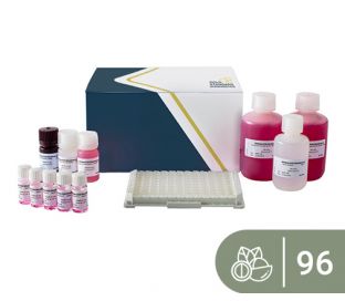 SENSISpec ELISA Macadamia nut 96 Wells