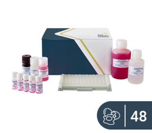 SENSISpec ELISA Ovalbumin 48 wells