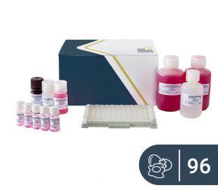 SENSISpec ELISA Ovalbumin 96 wells