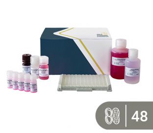 SENSISpec ELISA Peanut 48 wells